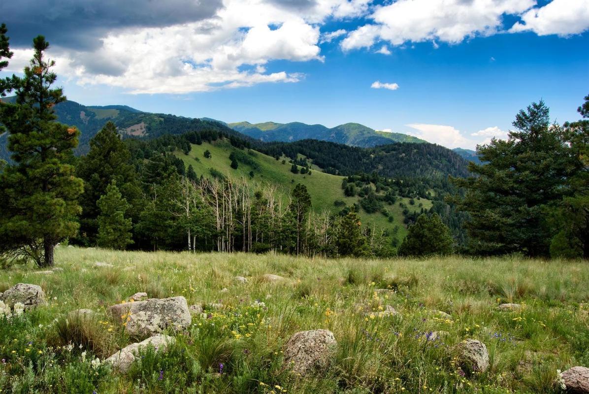 Tiny Two, 2 Bedrooms, Midtown, Sleeps 4 Ruidoso Exterior foto